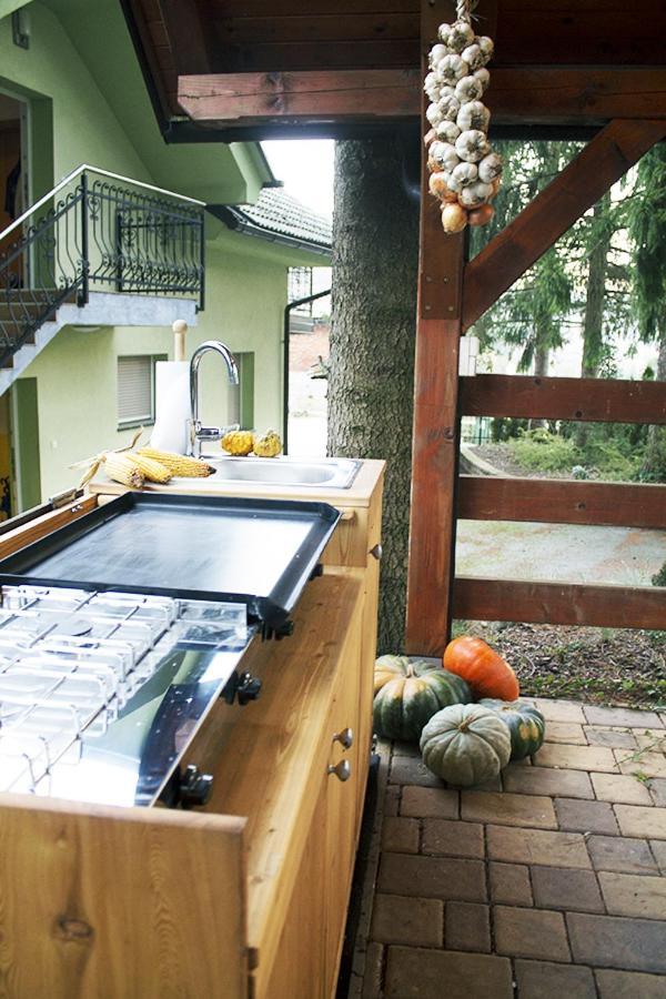 Apartma Pegaz Rogaska Slatina Exterior photo